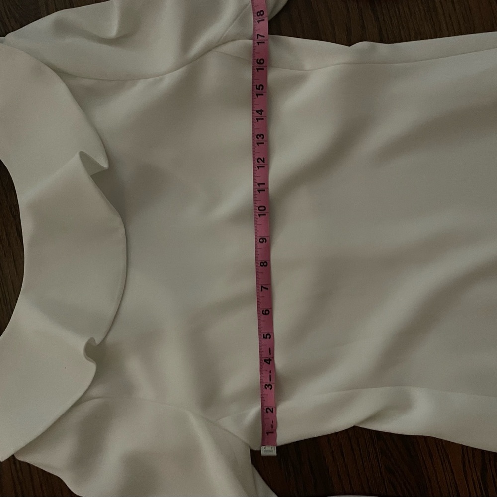 Classic Goop Randolph Ruffle Dress - Picture 9 of 11